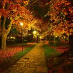 Download autumn night wallpaper HD