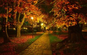 Download autumn night wallpaper HD