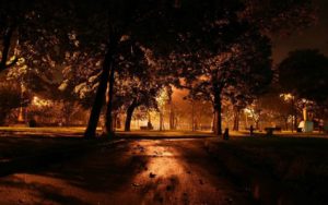 Top autumn night wallpaper HD Download