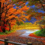 Top autumn wallpaper download 4k Download