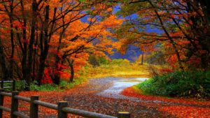 Top autumn wallpaper download 4k Download