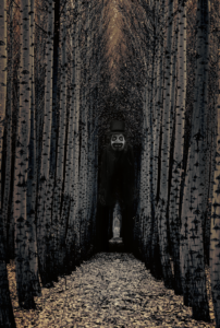 Download babadook background HD