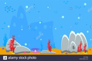 Download baby shark background image HD