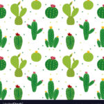 Top background cactus 4k Download