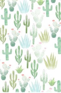 Download background cactus HD