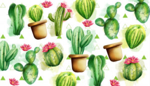 Top background cactus 4k Download