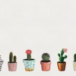 Download background cactus HD