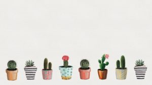 Download background cactus HD