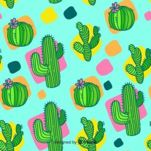 Download background cactus HD