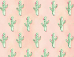 Download background cactus HD