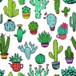 Download background cactus HD