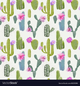 Download background cactus HD