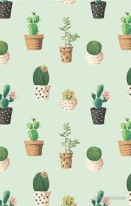 Top background cactus 4k Download