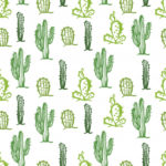 Top background cactus HD Download