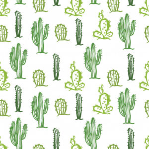 Top background cactus HD Download