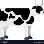 Download background cow HD