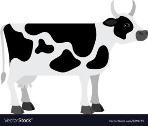 Download background cow HD