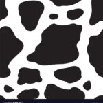 Top background cow 4k Download