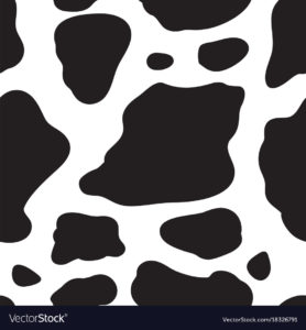 Top background cow 4k Download