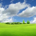 Top background on nature HD Download
