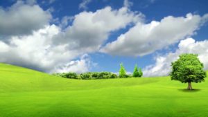 Top background on nature HD Download