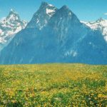 Top background sound of music 4k Download