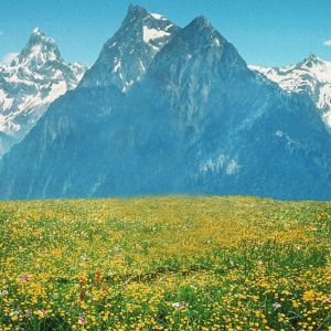 Top background sound of music 4k Download