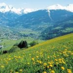 Top background sound of music free Download