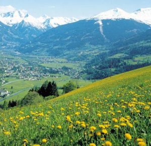 Top background sound of music free Download