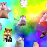 Download backgrounds of hamsters HD