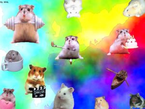 Download backgrounds of hamsters HD