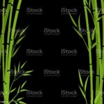 Top bamboo black background 4k Download