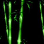 Top bamboo black background free Download