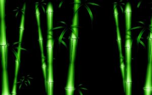 Top bamboo black background free Download