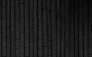 Top bamboo black background HD Download