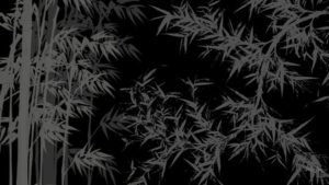 Download bamboo black background HD