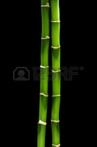 Top bamboo black background Download