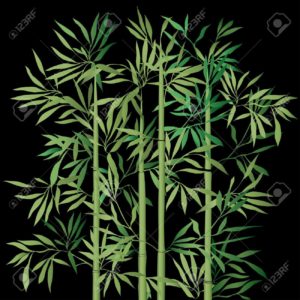 Download bamboo black background HD