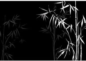 Download bamboo black background HD