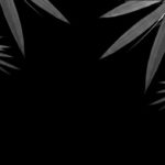 Download bamboo black background HD
