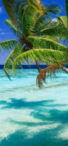 Top barbados wallpaper HD Download