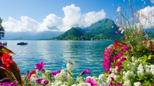 Top beautiful background wallpaper nature 4k Download