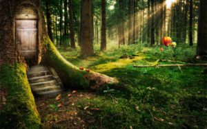 Download beautiful forest background HD