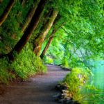Top best green nature wallpaper hd Download