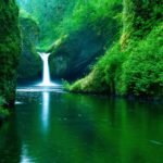 Top best green nature wallpaper hd HD Download