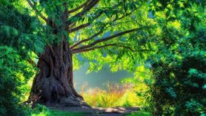 Top best green nature wallpaper hd 4k Download