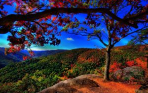 Top best scenery background images 4k Download