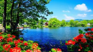 Top best scenery background images HD Download