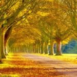 Top best scenery background images Download