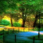 Download best scenery background images HD